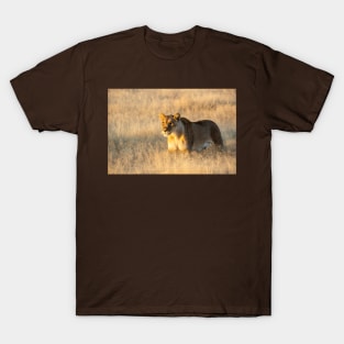 Lion in the grass. T-Shirt